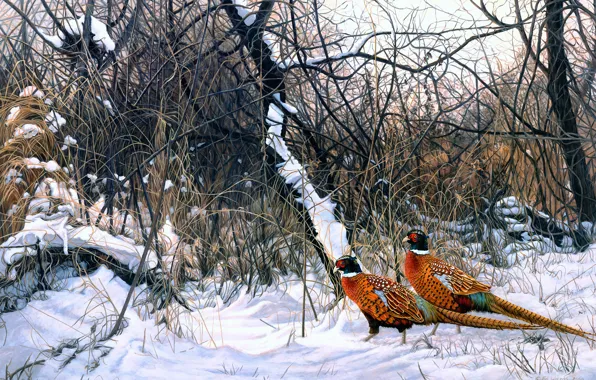 Зима, лес, трава, снег, птицы, ветки, природа, заросли
