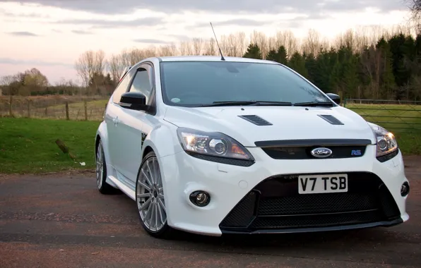 Картинка Ford, white, forest, focus