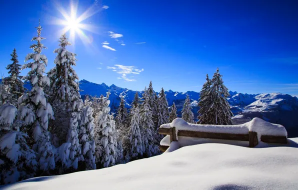 Зима, лес, небо, солнце, снег, пейзаж, скамейка, природа