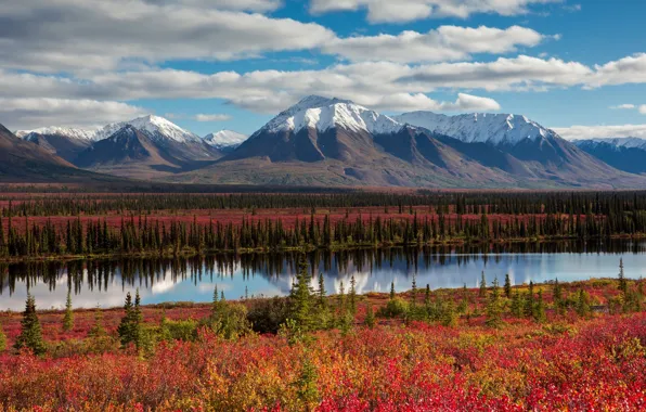 Осень, небо, облака, горы, Аляска, США, леса