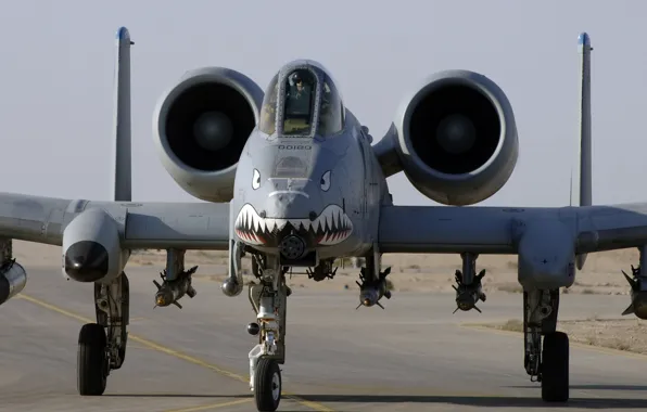A-10 Thunderbolt II, Energo5, Military aviation