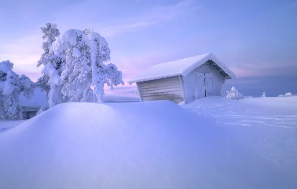 Картинка зима, снег, деревья, избушка, сугробы, хижина, Россия, Заполярье