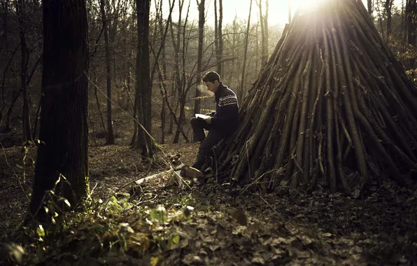 Картинка осень, лес, листья, солнце, дерево, собака, мужчина, чтение