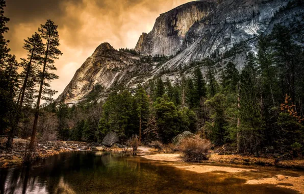 Деревья, природа, река, скалы, Йосемити, Yosemite, California, National park