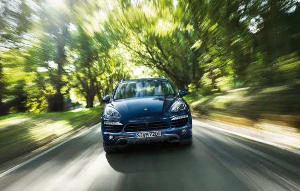 Лес, скорость, Porsche Cayenne