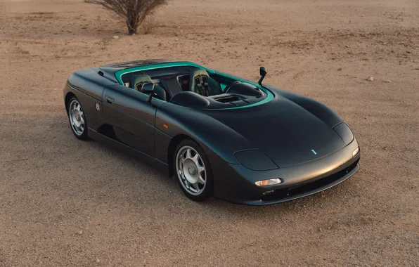 Суперкар, supercar, 1995, De Tomaso, единственный экземпляр, the only instance, De Tomaso Guara Barchetta, De …