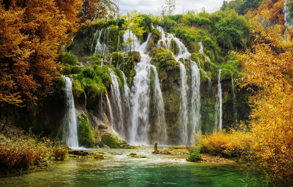 Осень, лес, деревья, ветки, природа, скалы, берег, растительность