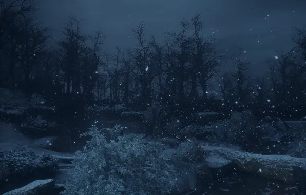 Зима, Зимний пейзаж, A Plague Tale Innocence