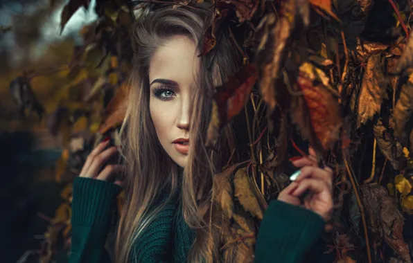 Картинка осень, взгляд, листья, девушка, ветки, лицо, настроение, Asia Piorkowska