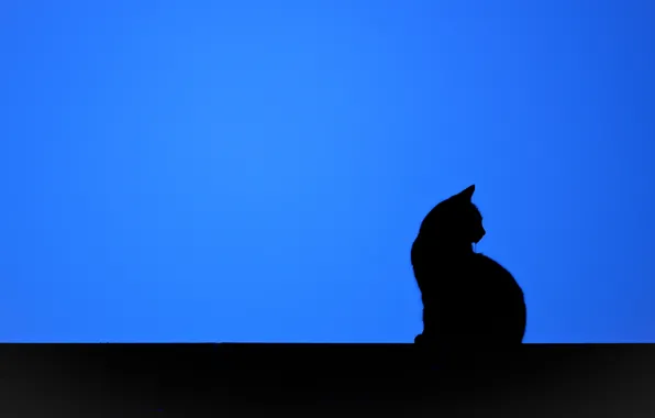 Картинка кошка, фон, минимализм, силуэт