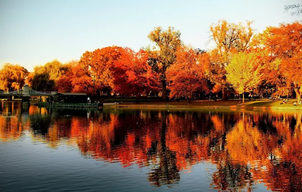 Картинка осень, отражения, деревья, озеро, парк, США, мостик, Бостон