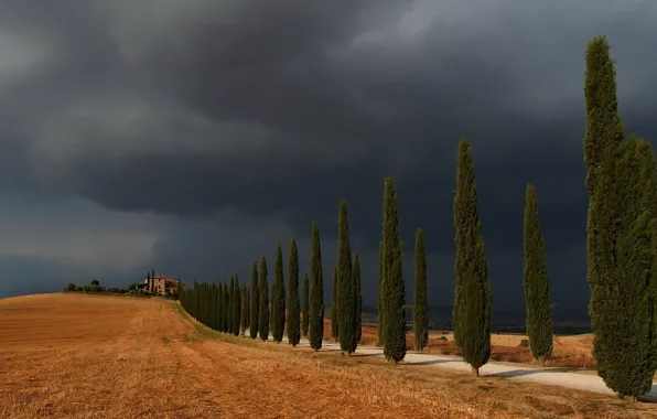 Дорога, небо, деревья, пейзаж, Storm in Val d'Orcia