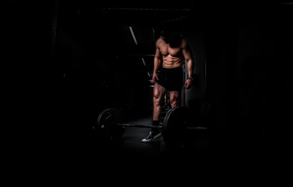 Muscle, Studio, Sport, Man, Bodybuilding, Fitness, Strong, Workout
