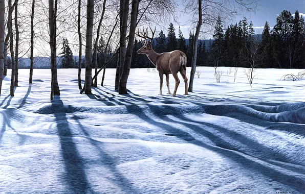 Картинка зима, лес, снег, пейзаж, природа, олень, тени, живопись