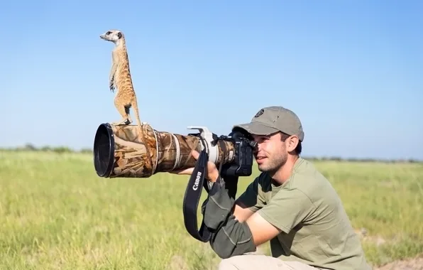 Фотограф, объектив, сурикат