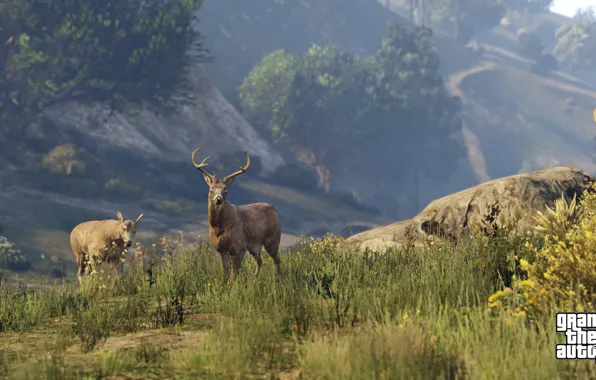 Природа, олени, GTA