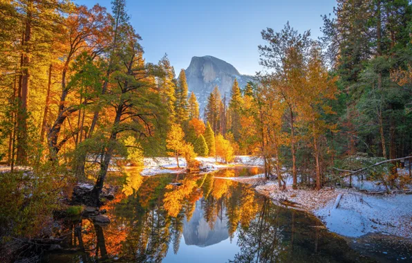 Картинка осень, лес, деревья, отражение, река, гора, Калифорния, California