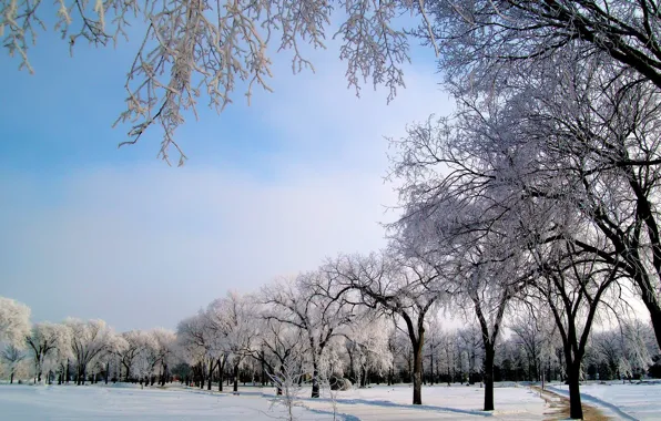 Картинка зима, иней, дорога, снег, деревья, мороз