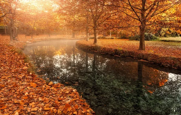 Картинка осень, город, парк, река