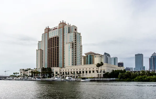 Город, пальма, голубой, здание, небоскреб, Флорида, USA, США