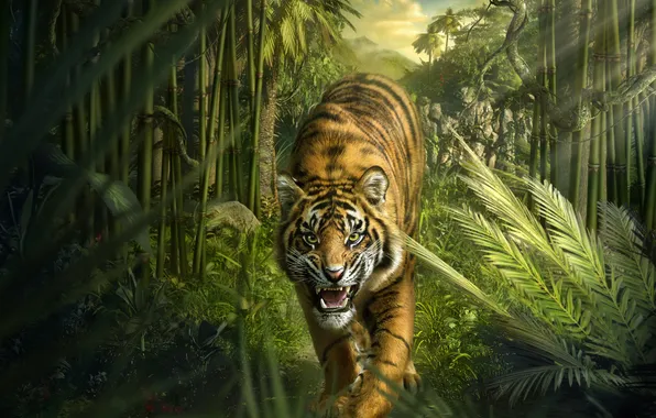 Взгляд, тигр, хищник, джунгли