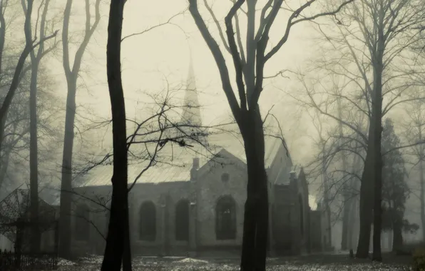 Зима, туман, мгла, Mist, костел, Church, Fog, Trees