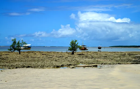Nature, Landscapes, Brazil, Bahia, South American