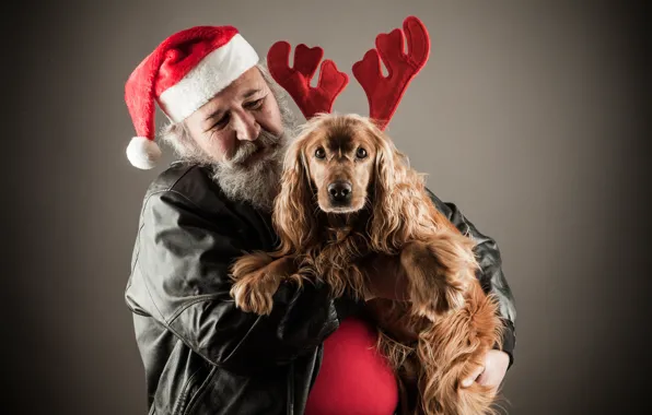 Картинка фон, настроение, праздник, шапка, собака, куртка, Рождество, Новый год