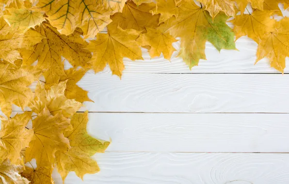 Осень, листья, фон, дерево, доски, wood, background, autumn