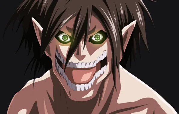Anime, asian, manga, japanese, asiatic, Shingeki no Kyojin, Attack On Titan, shounen