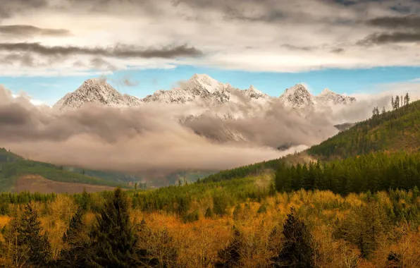 Картинка осень, лес, облака, горы, туман, леса