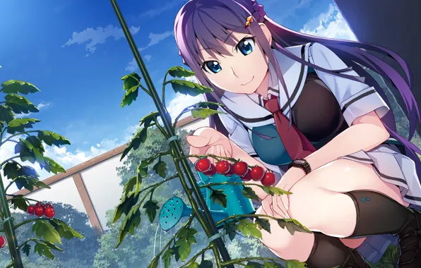 Девушка, плоды, огород, Grisaia: Phantom Trigger