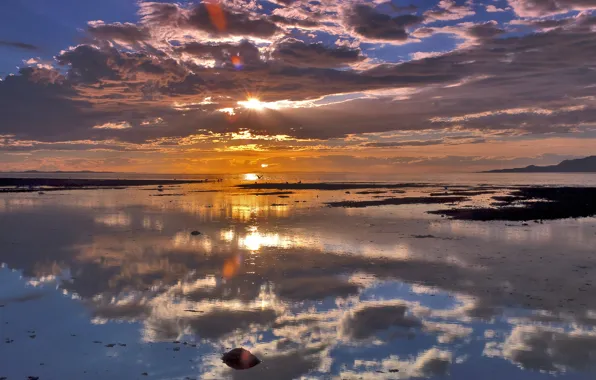 Ocean, sunset, clouds, birds, reflections