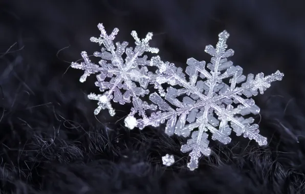Зима, снег, снежинки, кристаллы