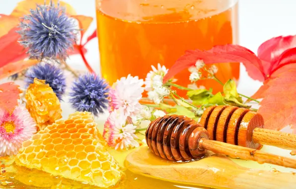 Картинка цветы, соты, мед, ложка, honey, деревянная