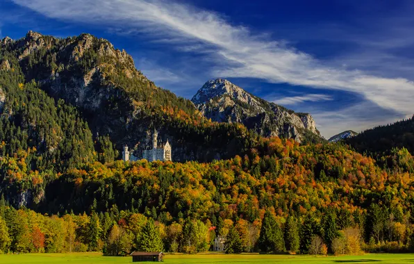 Картинка осень, лес, горы, Германия, Бавария, Germany, Bavaria, Neuschwanstein Castle