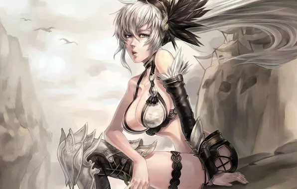 Девушка, птицы, перья, фэнтези, сидя, pixiv, odin sphere
