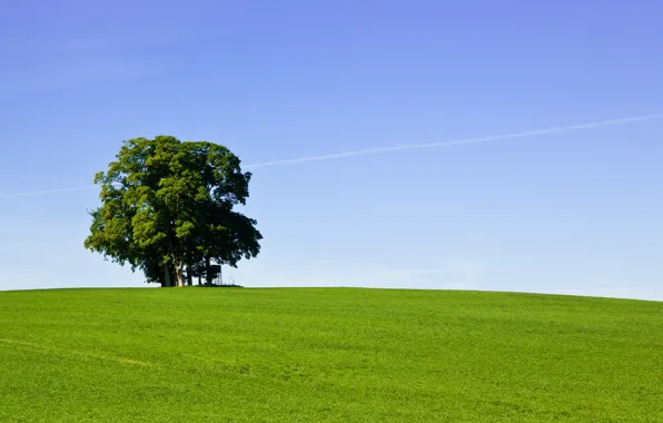 Green, grass, sky, field, tree, hill, countryside, farm