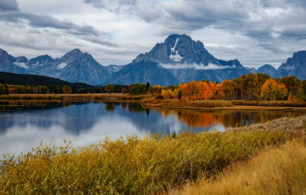 Осень, лес, горы, отражение, река, Вайоминг, Wyoming, кусты