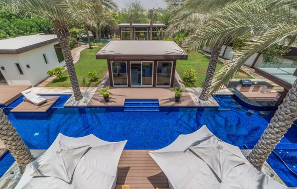 Пальмы, вилла, бассейн, курорт, Dubai, ОАЭ, Эмираты, Bromellia