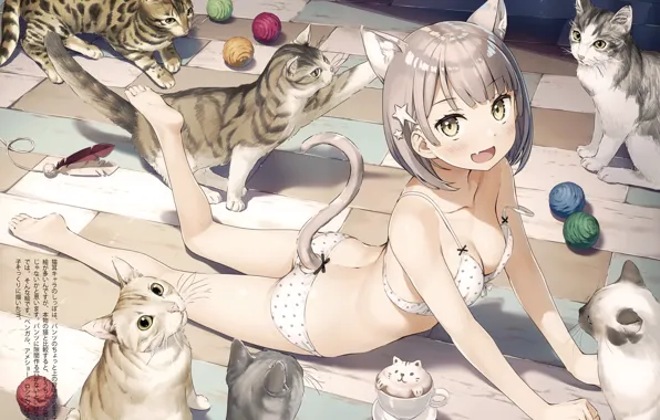 Кошки, босиком, девочка-кошка, нижнее бельё, клубки, лежит на полу, кошачьи ушки, neko girl