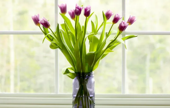 Букет, окно, банка, тюльпаны