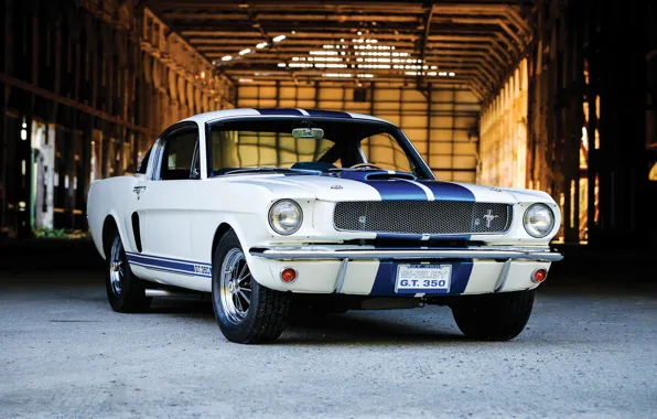 Картинка Mustang, Ford, muscle car, Ford Mustang Shelby GT350