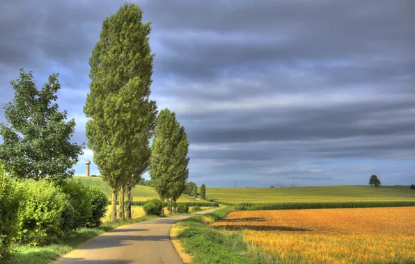 Картинка дорога, поле, деревья, Франция, France, Lorraine, Лотарингия, Триё