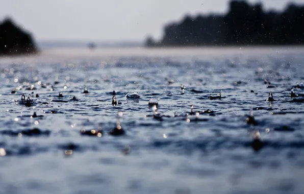 Мокро, вода, капли, дождь, капля, ливень, дожди, ливни