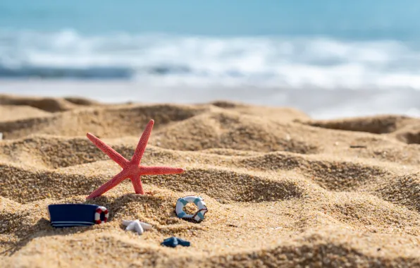 Картинка песок, море, волны, пляж, лето, берег, звезда, ракушки