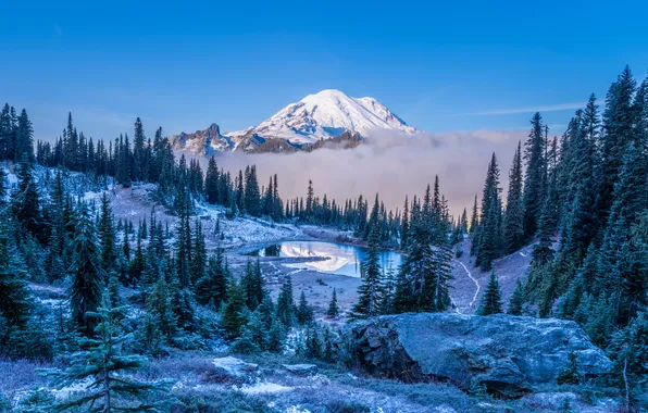 Картинка пейзаж, горы, озеро, ели, США, Mount Rainier