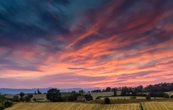 Поле, закат, Italy, Sunset, Tuscan