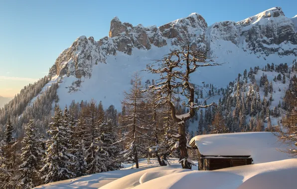 Картинка зима, лес, снег, горы, Австрия, Альпы, домик, Torsten Muehlbacher photography
