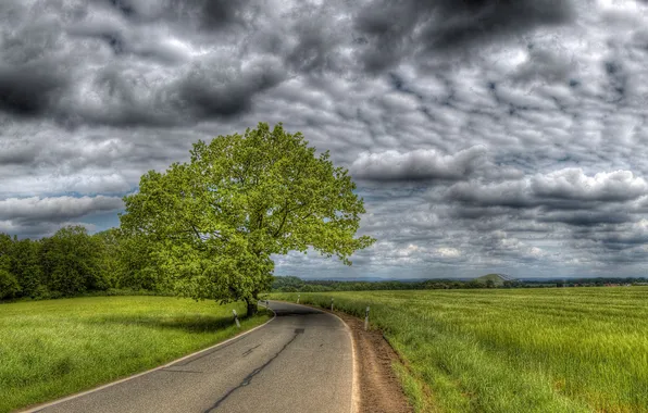 Картинка дорога, поле, небо, деревья, тучи
